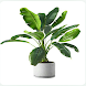 plant disease identifier - Androidアプリ