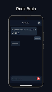 Rook Brain screenshot 3