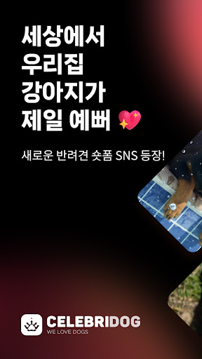 Android application 셀레브리독 - 강아지 대표 숏폼 SNS screenshort