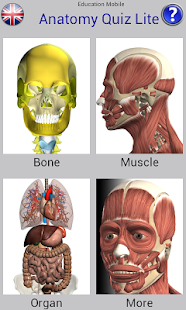 Anatomy Quiz Free Screenshot