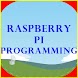 RaspberryPi Programming