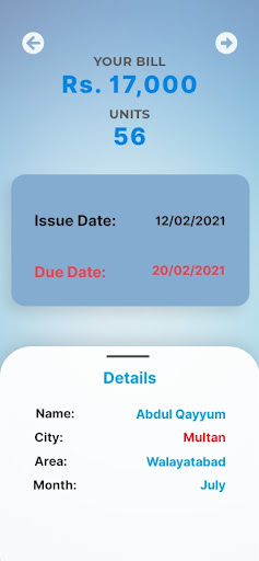 MEPCO Bill Online Screen 3