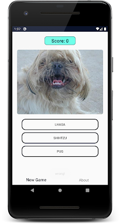 Dogs Quiz: Guess and Learn the - Screenshot 1