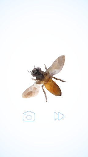 Polysphere Art Of Puzzle