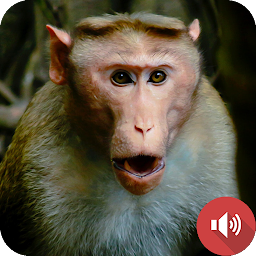 Icon image Monkey Sounds