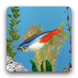 aniPet 민물고기 수족관 라이브 배경화면 (무료) 아이콘 이미지