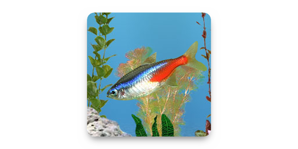 Anipet淡水魚水族館ライブ壁紙 無料版 Google Play のアプリ