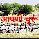 Churu News and Info in Hindi icon