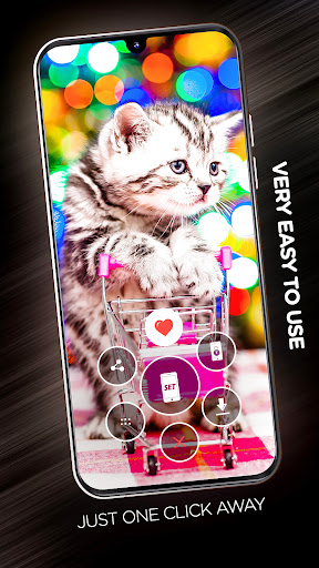 Funny wallpapers Screen 2