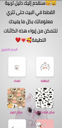 تربية القطط في المنزل