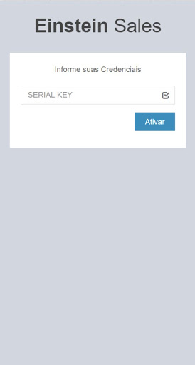 Einstein Sales Screen 3