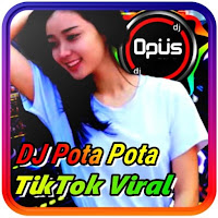 DJ POTA POTA JEDAG JEDUG REMIX TIKTOK VIRAL