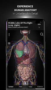Anatomyka MOD APK- 3D Anatomy Atlas (Unlocked) Download 1
