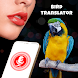 Bird Talking & Translator App - Androidアプリ