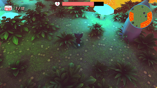 Becker cats Adventures