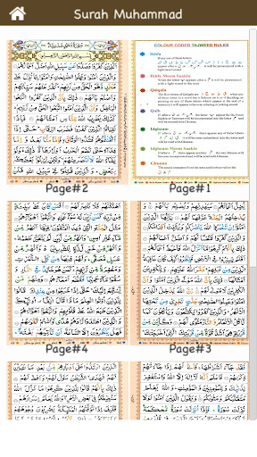 Surah Muhammad (سورة محمد) Col Screen 3