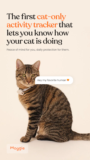 Android application Moggie Cat Activity Tracker screenshort