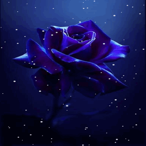 Dark Blue Rose LWP - Ứng dụng trên Google Play