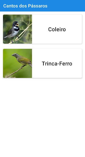 Cantos de Pássaros - Torneio Screen 2