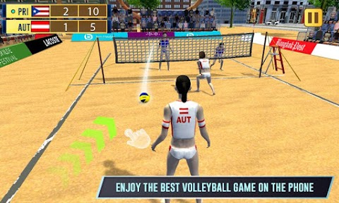 Beach Volleyball Champions 3Dのおすすめ画像2