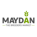 Maydan icon