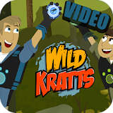 Video Of Wild Kratts icon