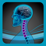 SpineEffects icon