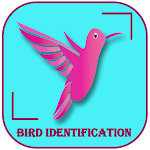 Cover Image of Download Bird Identification Scanner  APK