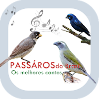 Pássaros do Brasil - Os melhor