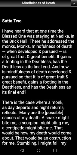 Mindfulness of Death Sutta Screen 3