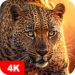 Symbolbild für Hintergrundbilder mit Tier 4K