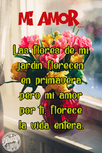 Flores y Rosas de Amor con Frases Románticas 5