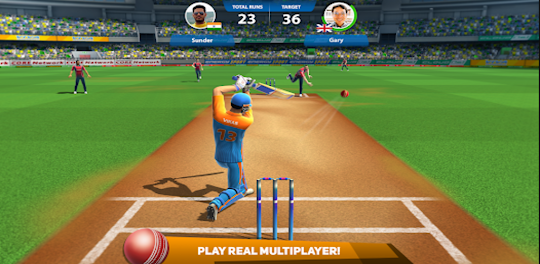 T20 Cricket 2023 3D