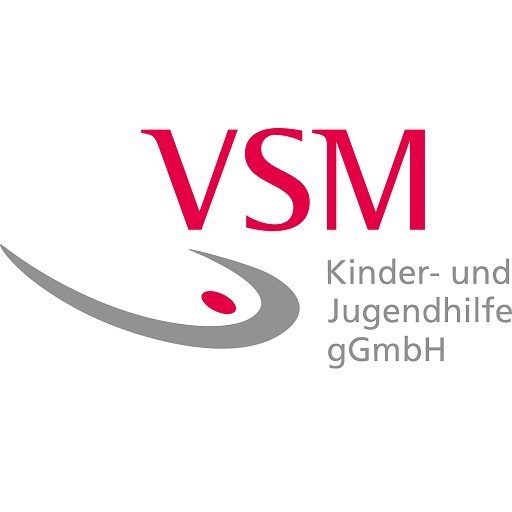 VSM-Inthepro logo