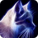 Sparkling cat live wallpaper icon