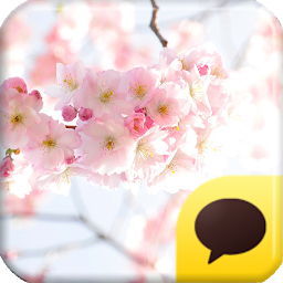 Icon image 카카오톡 테마 - The CherryBlossom