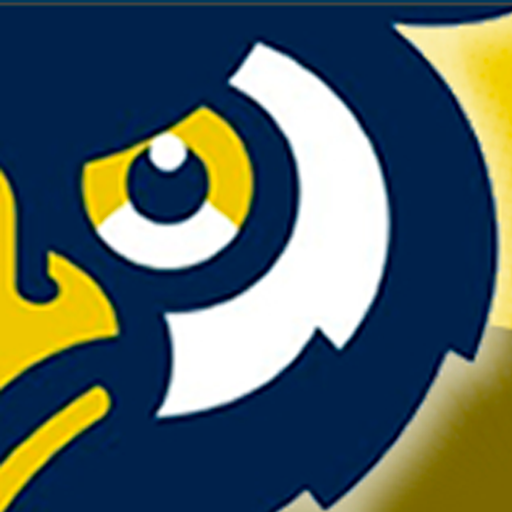 Ohaa Hockey Alumni logo