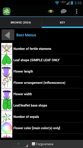 2900 Oregon Wildflowers Screen 2
