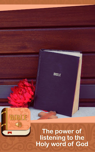 Audio Bible in English offline screenshot 20