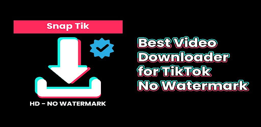 Snaptik Video Downloader TT 1