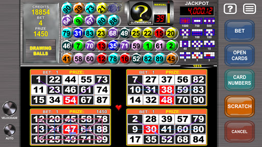 Video Bingo Mega Ball Flex screenshot 3