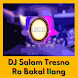 DJ Salam Tresno Ra Bakal Ilang Offline Mp3