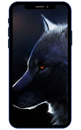 Android application Wolf Wallpapers screenshort