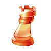 Check Mate icon