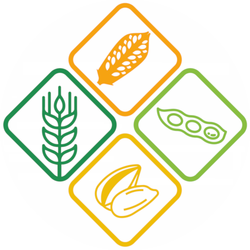 Top Cisbra logo
