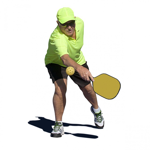 Pickleball Locator 4.0 logo