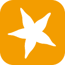 STARFACE icon