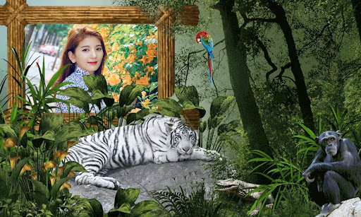 Jungle Photo Frame Screen 2