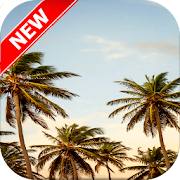 Palm Tree Wallpapers 1.0 Icon