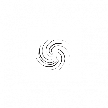 Stellae PNG Surveys Screen 3